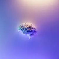 Otak manusia juga membutuhkan kegiatan yang dapat meningkatkan kinerjanya (Foto: Unsplash.com/Milad Fakurian)