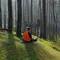 Healing Forest Bisa Redakan Stres hingga Tingkatkan Imunitas