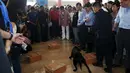Aktor laga asal Hong Kong Jackie Chan melihat demonstrasi anjing pelacak saat peluncuran aplikasi mobile game anti-narkoba 'Aversion', Singapura, Kamis (7/5/2015). Aplikasi ini sebagai kepedulian tentang bahaya penyalahgunaan narkoba. (Reuters/Edgar Su)