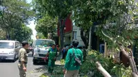 Dua pohon tumbang terjadi di dua lokasi yang berbeda di Surabaya, yaitu di Jalan Ahmad Yani, tepat di depan RSAL dr Ramelan dan di Jalan Kertajaya No. 240 (Foto: Liputan6.com/Dian Kurniawan)