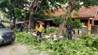 Upaya penjarangan pohon peneduh jalan, sebagai antisipasi pohon tumbang di musim hujan. Foto (Liputan6.com/Asep Mulyana)