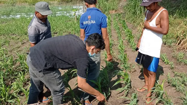 Warga menunjukkan patok yang dipasang TNI AD di tanah warga Desa Ambal Resmi, Kecamatan Ambal, Kebumen, Selasa (23/3/2021). (Foto: Liputan6.com/Rudal Afgani Dirgantara)