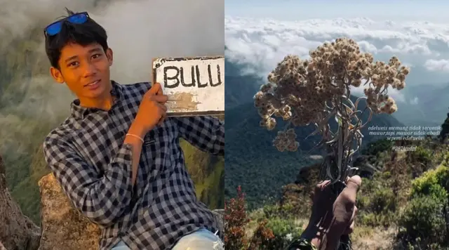 Nekat Petik Bunga Edelweis, Pendaki Gunung Lompobattang Kena Blacklist 10 Tahun