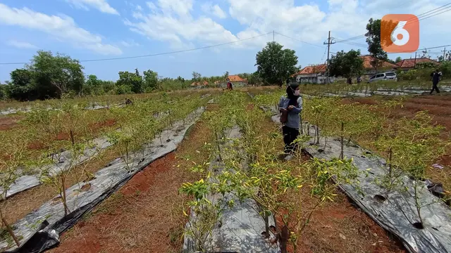 Edu Ecofarming
