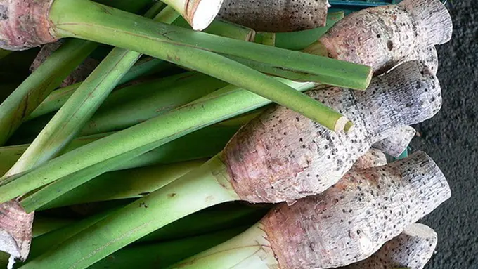 copyright by resepmenumasakan.blogspot.com