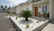 7 Tanaman untuk Taman Kering di Rumah Subsidi, Estetika Minim Perawatan