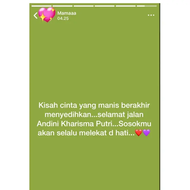 6 Status WA Emak-Emak Sedih Andin 'Ikatan Cinta' Meninggal, Bak Ditinggal Keluarga