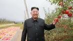 Pemimpin Korea Utara Kim Jong Un berpose di kebun apel saat panen di Pyongyang, Minggu (18/9). Selain untuk melihat hasil panen, kedatangan Kim Jong Un juga untuk memberi bimbingan kepada Kosan Combined Fruit Farm. (REUTERS/KCNA) 