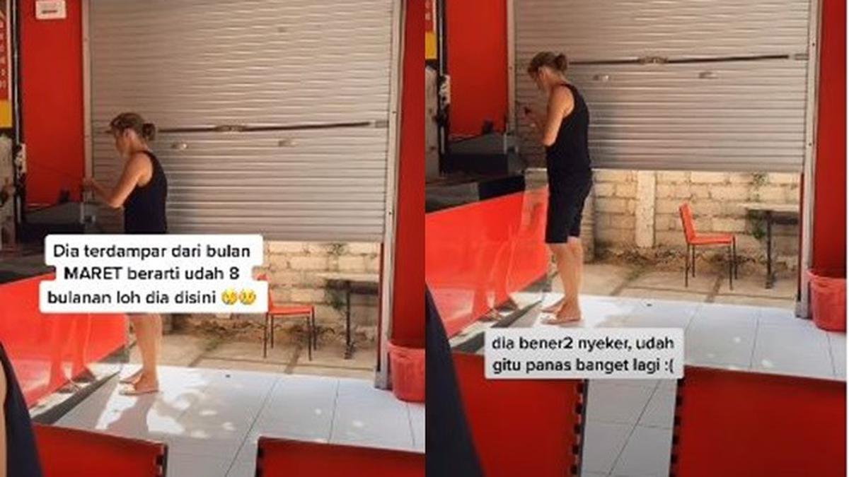 Viral Bule Terdampar Di Bali Selama 8 Bulan Bertahan Hidup Dengan Jualan Teh Hot 