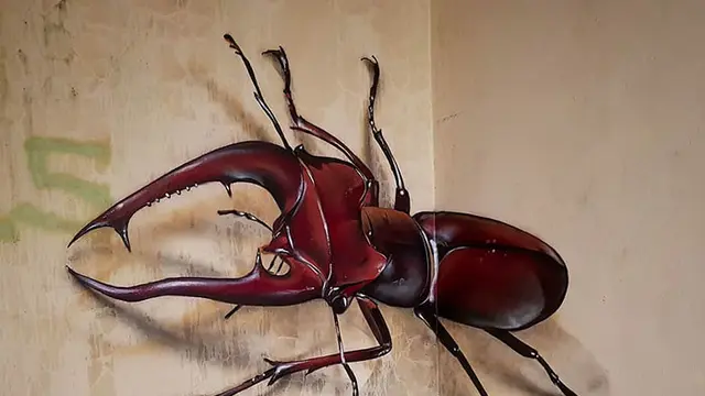 karya seni 3D yang sangat nyata (foto: boredpanda)