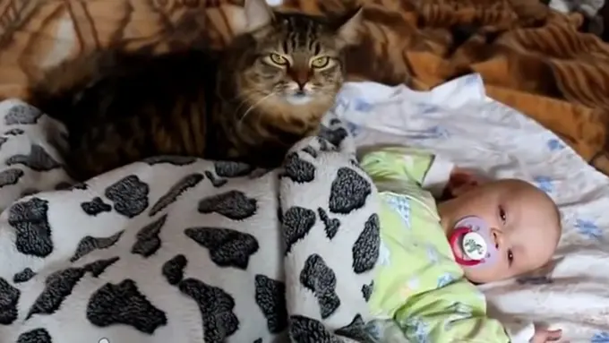 Photo copyright Youtube/ignoramusky