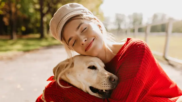 Dog and Owner
