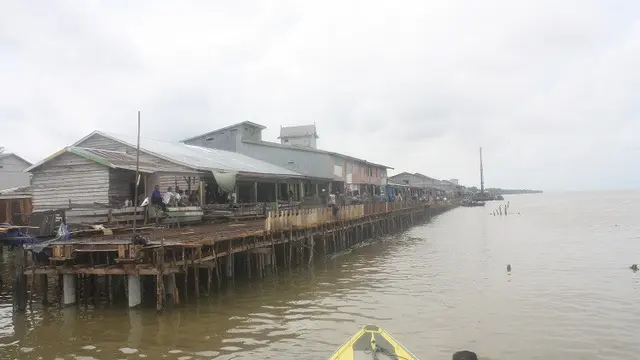 Pesisir Timur Jambi
