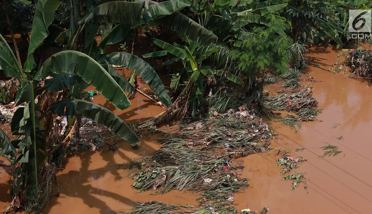 Sampah terlihat di aliran Sungai Ciliwung yang meluap di kawasan Pejaten Timur, Jakarta, Jumat (26/4). Banjir kiriman melalui Sungai Ciliwung yang berasal dari Bogor tersebut mengakibatkan sejumah wilayah di Ibukota terendam banjir. (Liputan6.com/Immanuel Antonius)