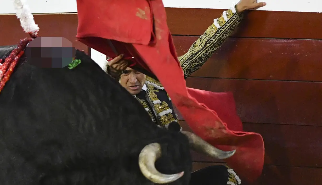Matador Meksiko Joselito Adame tampil selama adu banteng di arena adu banteng Canaveralejo dalam rangka Festival Cali di Cali, Kolombia (27/12/2022). (AFP/Joaquin Sarmiento)