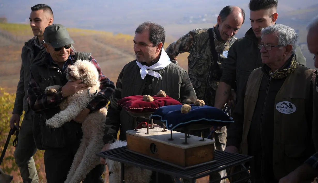 Pemburu truffle atau trifulau berfoto bersama dengan truffle putih hasil buruannya selama World Alba White Truffle Auction di istana Grinzane, Italia (12/11). (AFP Photo/Marco Bertorello)
