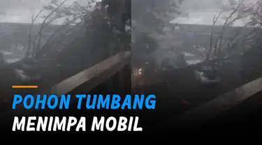 Nampak mobil berwarna putih sudah tertimpa pohon besar di tempat parkir.