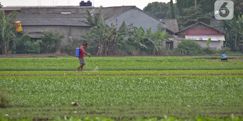 Pemanfaatan Lahan di Pinggiran Kota