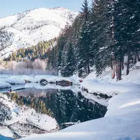 (unsplash.com/@coloradocolby)