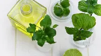 Manfaat peppermint oil untuk kecantikan. (Foto: pixabay.com)