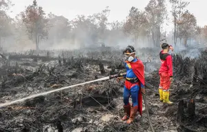 Klarifikasi Pemerintah Soal Bantuan Kebakaran Hutan Malaysia dan Jepang