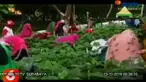 Masjid bukan hanya sebagai tempat ibadah, tetapi juga memiliki fungsi kemakmuran masyarakat sekitar, di antaranya dengan budidaya tanaman dan ikan, seperti yang dilakukan Takmir Masjid Nurul Jannah Gresik, Jawa Timur.