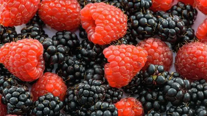 Makanan terbaik untuk paru-paru/copyright Pexels.com