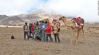 Dua Ekor Unta Berhasil Taklukan Gunung Kilimanjaro