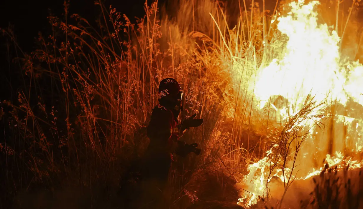 Kebakaran hutan terjadi di Trancoso, Portugal, Selasa (12/8/2025) dini hari waktu setempat. (PATRICIA DE MELO MOREIRA/AFP)