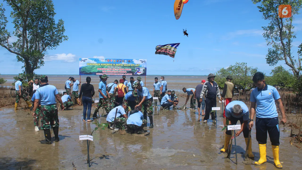 Tanam Mangrove