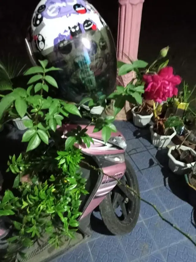 10 Motor Tak Pernah Dipakai Ini Bikin Geleng Kepala, Jadi Tempat Jamur