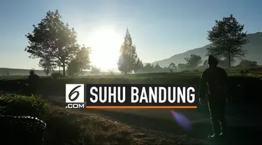 Suhu dingin melanda Kertasari Kabupaten Bandung, tanaman petani  diselimuti es. Suhu mencapai minus empat derajat celcius. Akibat suhu dingin tanaman petani kecoklatan dan memperlambat pertumbuhan.