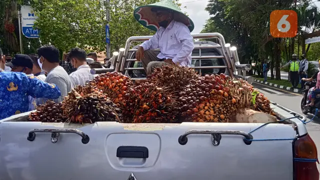 Kelapa Sawit