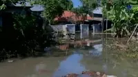Akibat tanggul jebol, puluhan rumah di Pesanggrahan, Jakarta, terendam banjir