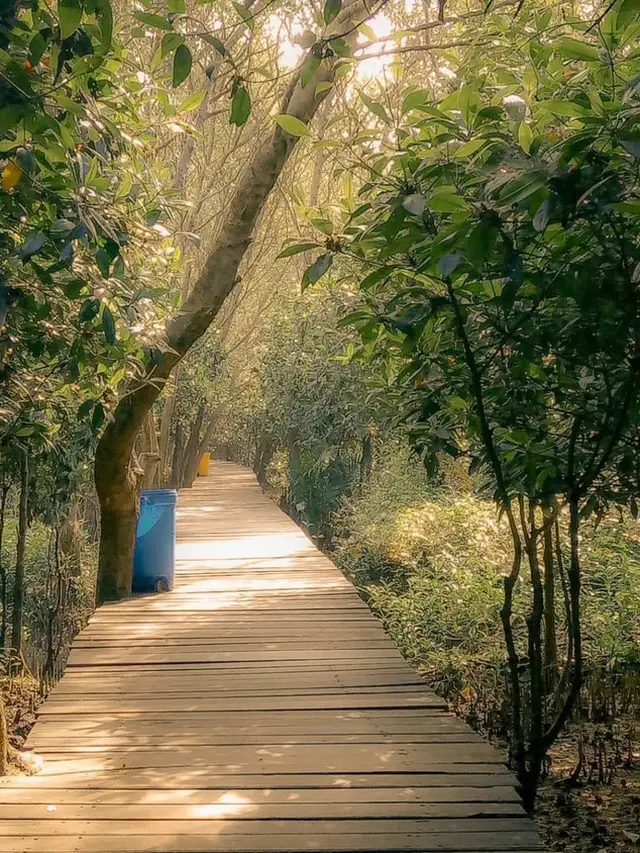 Mangrove Gunung Anyar (Sumber: @kennyindra/Instagram)