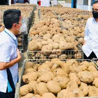 Jokowi sebut porang sebagai makanan sehat dan akan menjadi pengganti beras di masa depan. (Instagram/Jokowi).