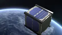 Gambaran LignoSat, satelit kayu yang dikembangkan Universitas Kyoto bersama Sumitomo Forestry. (Dok: Nanosats Database)