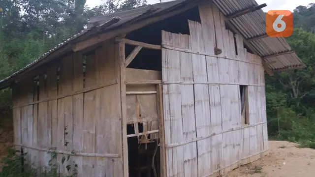 Dampak covid-19