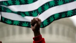 Seorang pria memegang sebatang ganja saat menggelar aksinya di dekat gedung Capitol di Washington (24/4). Saat ini, 29 negara bagian telah melegalisasi penggunaan mariyuana untuk tujuan pengobatan. (AP Photo/Alex Brandon)