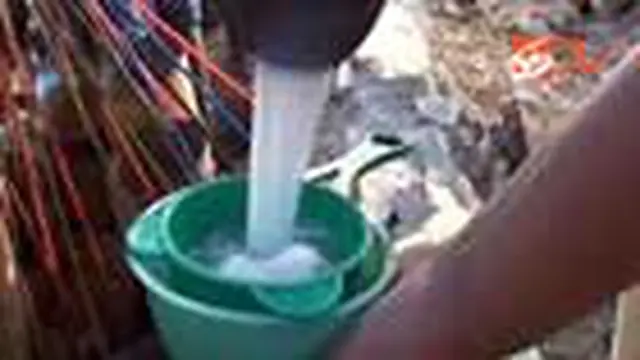 Minuman Legen Sangat Diminati Warga Rembang