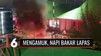 Tindakan petugas Lapas Klas III Parigi Moutong ini membuat ratusan napi mengamuk hingga nekat membakar dan merusak fasilitas. Bahkan mereka mengancam akan membakar dokumen penting di lapas, Kenapa?