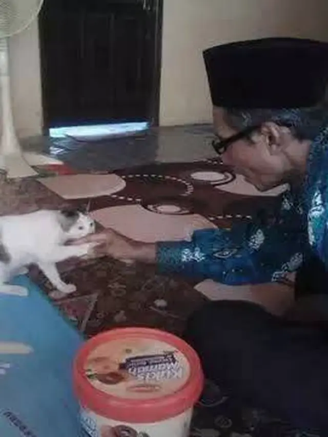 10 Potret Lucu Kucing Ikut Rayakan Lebaran, Sungkem dengan Donatur
