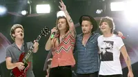 One Direction (Mirror.co.uk)