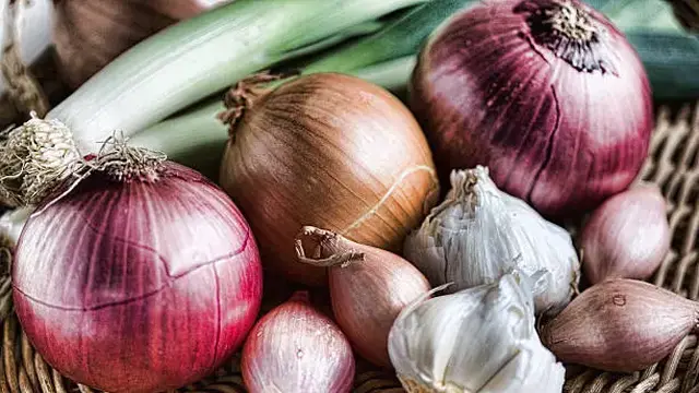 Mengenali Bau Badan dari Makanan