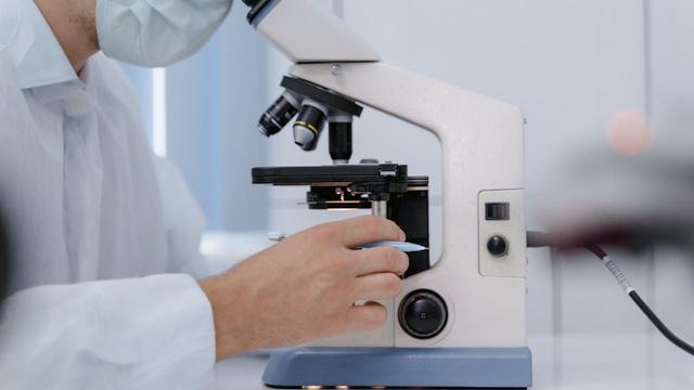 Ilustrasi riset, penelitian