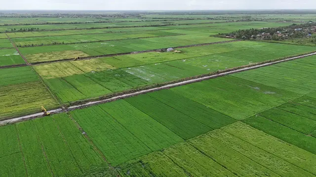 Kementan Jelaskan Produksi Beras di Tengah El Nino Berkepanjangan tahun 2024
