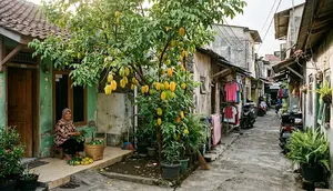 12 Pohon Buah untuk Halaman yang Jarang Kena Matahari di Gang Sempit