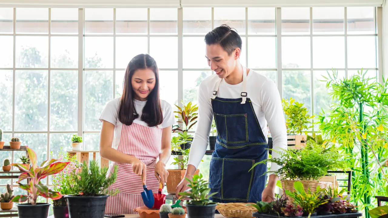 pasangan cinta bahagia kencan