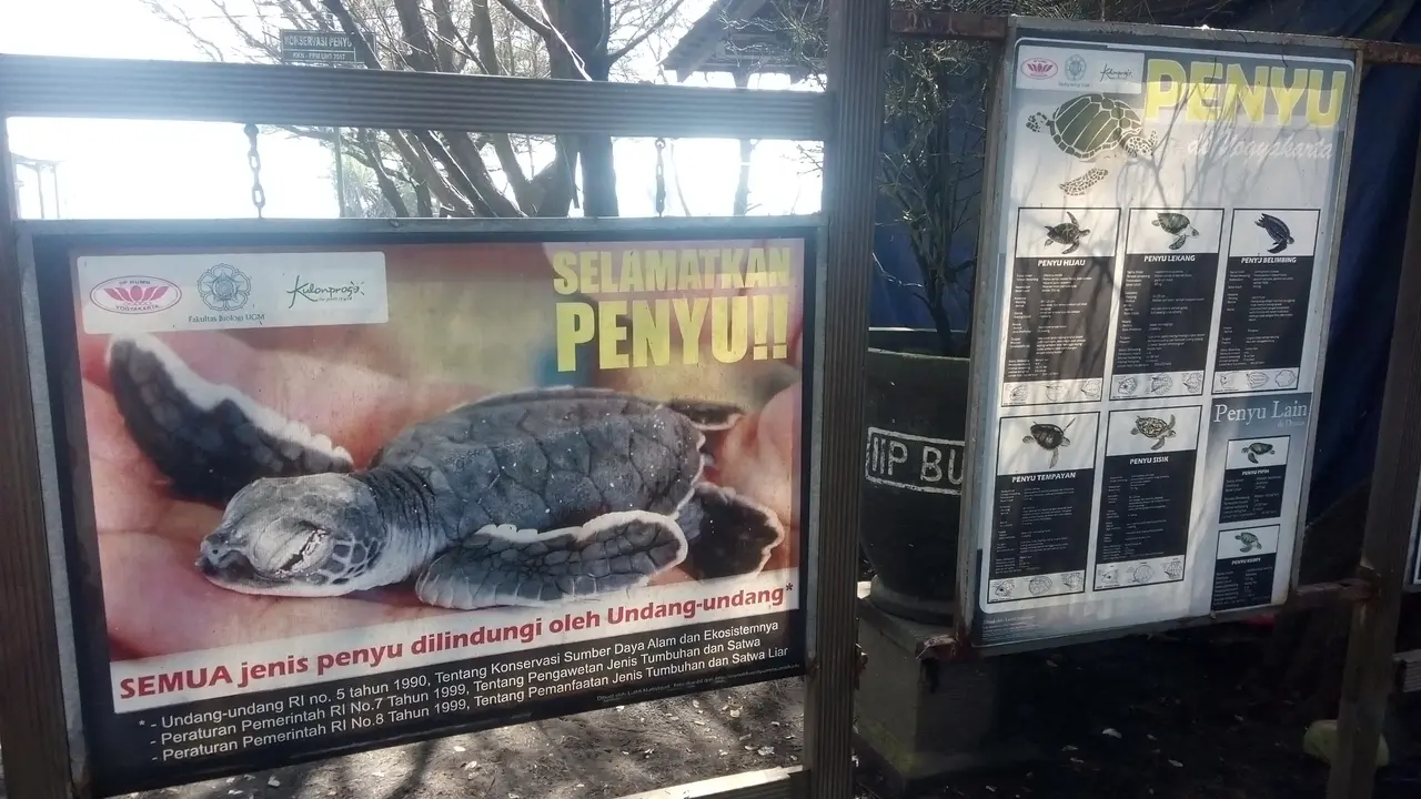 Udara pagi di pantai Trisik