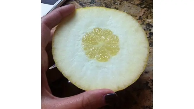 6 Momen Apes saat Mau Makan Buah Ini Bikin Kecewa